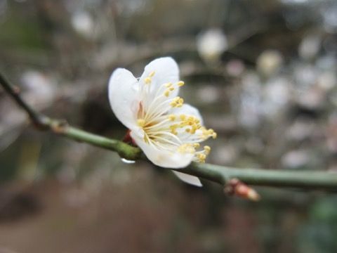 th_DSCF4879