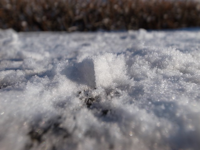 R0010905