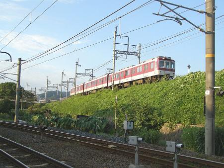 tawa (6)
