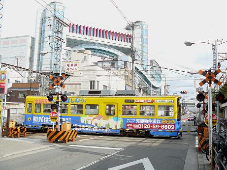 minami (6)