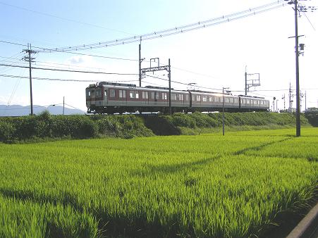 1local (1)