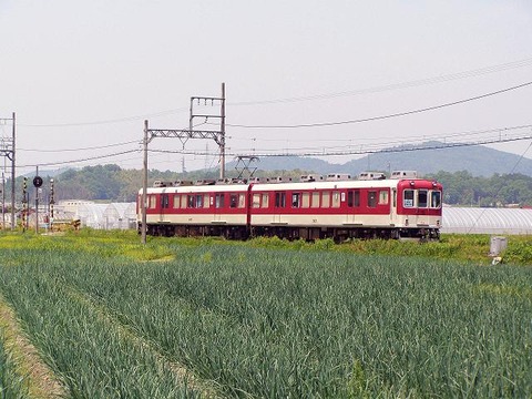 iga (79)
