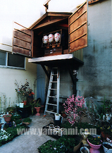 西-31