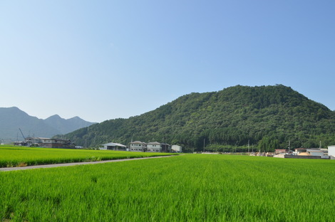 201707200817002