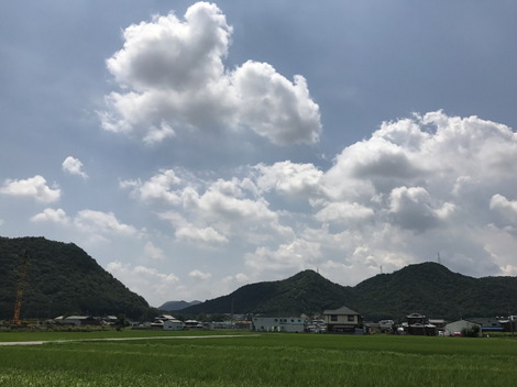 201707191253002