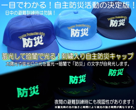 一目でわかる!自主防災活動の決定版!