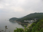 IMG_8506