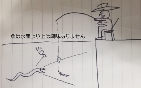 水面より上