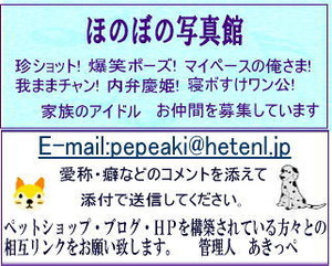 petotenpu