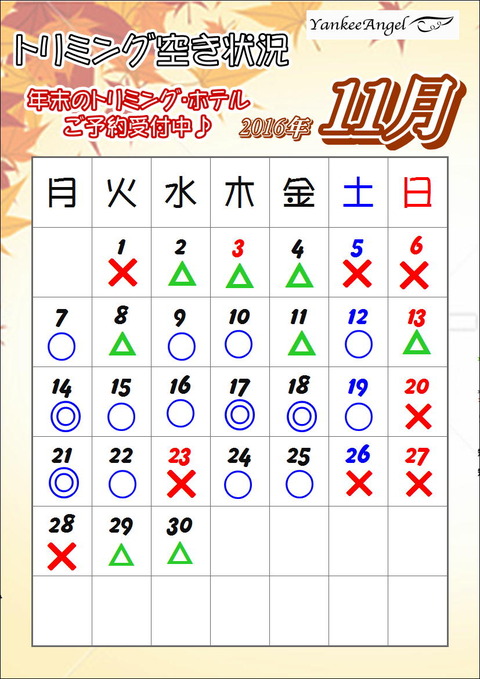 11月ブログ用