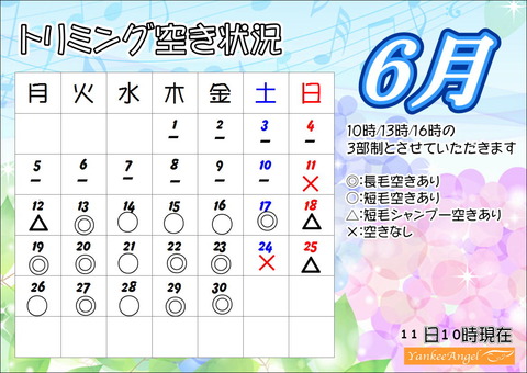 6
