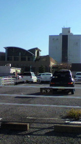 2e333166.jpg