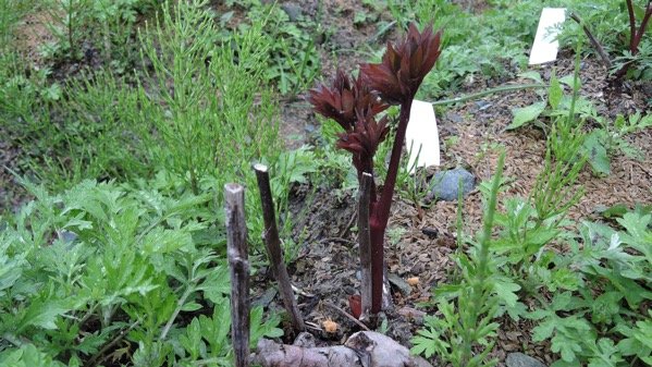 DSCN5404.JPG DSCN5404