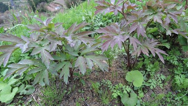 DSCN5402.JPG DSCN5402