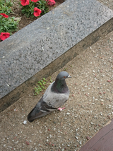 53c593f8.png