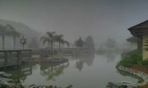 IMAG0328