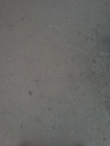453fbc02.jpg
