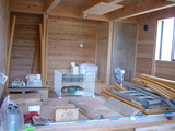 �ƥ鹩ˡ20060619�¼�