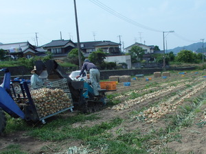 P6100100