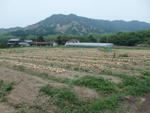 P6110103