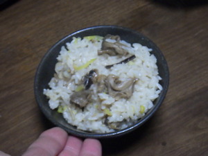 RIMG3759