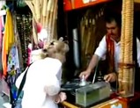 �ȥ륳�ξ���ʥ�����������