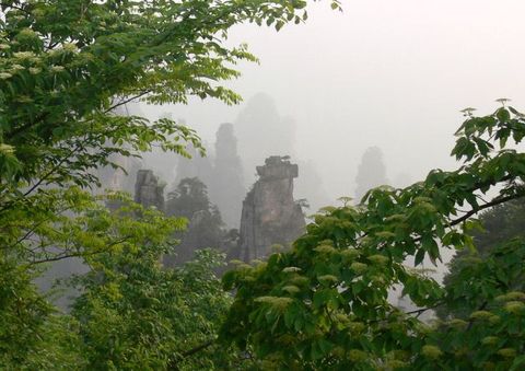 20100208-010232_