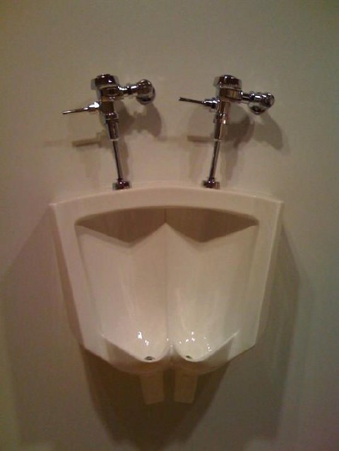 funny-picture-1287415888