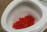 �ʤ�Ǥ�ۥ��ۥ����߹��󤸤ޤ�������ѥ�ե�ʥȥ���