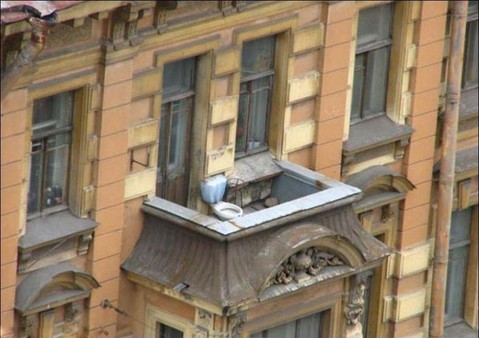 funny-picture-9979523863