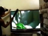 テレビはやっぱり叩け