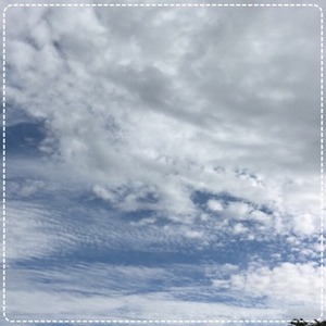 写真 2016-09-25 23 37 33