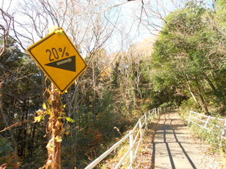 DSCN0222