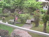 nippikaikan