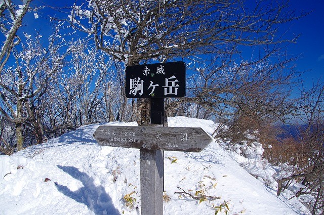 IMGP7723