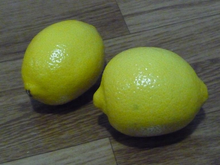 P1120552