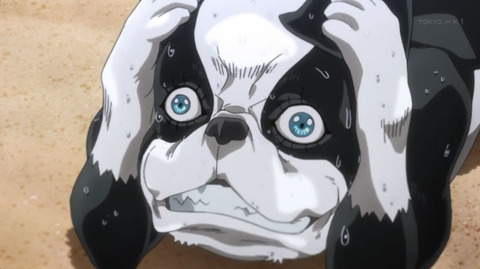jojo-SC_26v