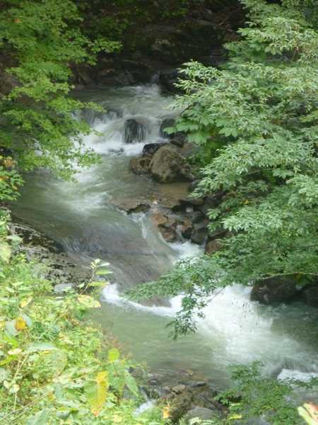 ahakkenn1