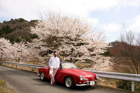 sakura2