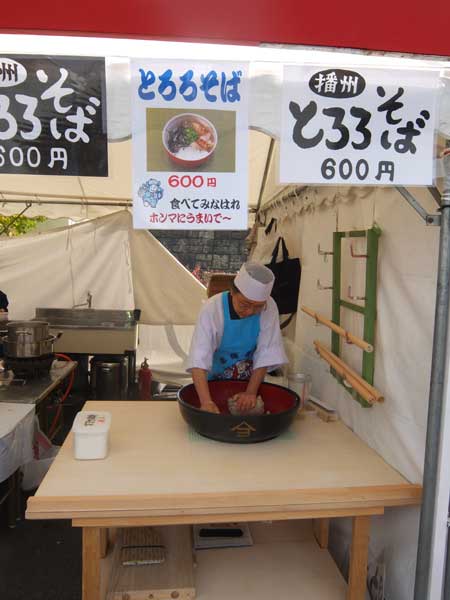 shiba17