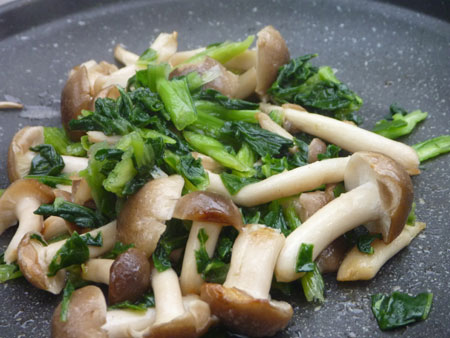 akinoko1