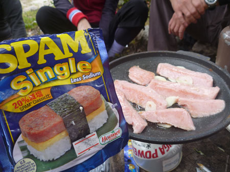 spam2