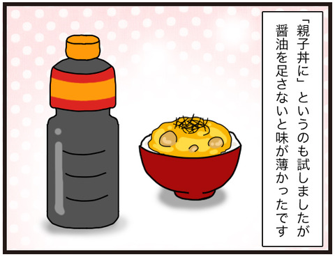 カボチャの煮汁8