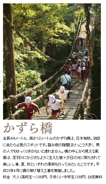 かずら橋