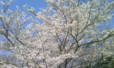 120419_092900