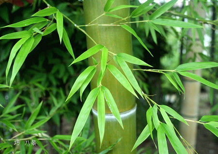 20100825_1113114