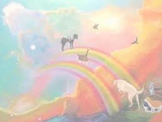426ff0dd45ccaf5f6fc93fe18b0f5a82