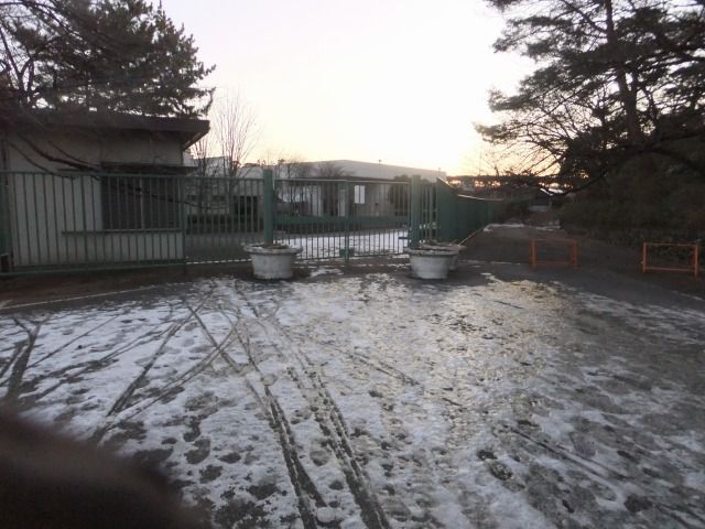 DSCF6652