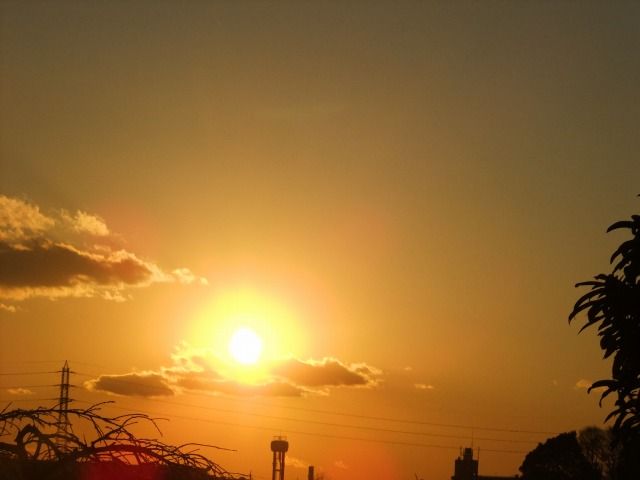 DSCF6830