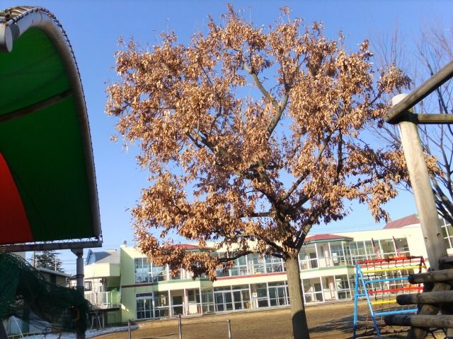 DSCF6615